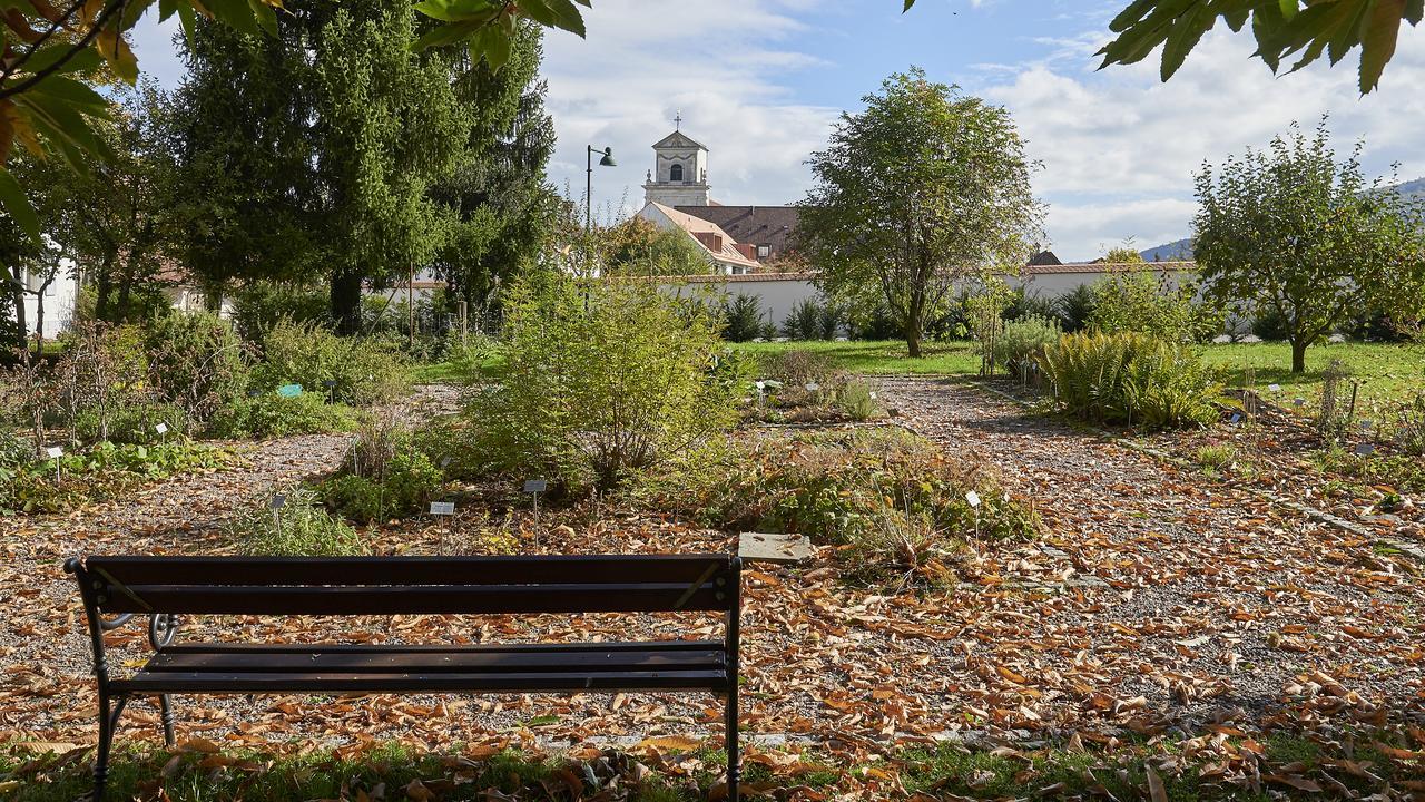 Klosterhotel Kreuz Mariastein Екстериор снимка